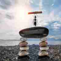 html怎﻿么‍用﻿css美‌化‍